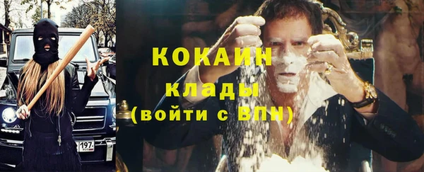 стаф Нестеровская