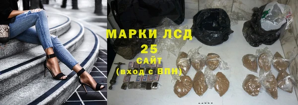 стаф Нестеровская