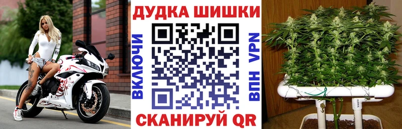 Купить  Севск  МАРИХУАНА гибрид 